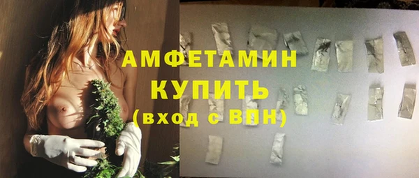 индика Беломорск