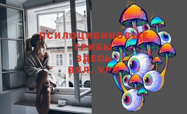 мдпв Балахна